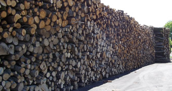 Bois de chauffage Avignon - Provence-Expo-Bois &agrave; Ved&egrave;ne.