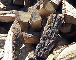 Bois de chauffage Avignon - Provence-Expo-Bois &agrave; Ved&egrave;ne.